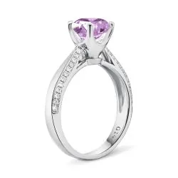 Anillo Princesa