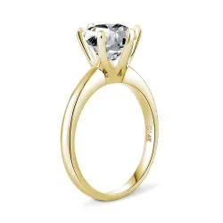 Anillo Walk together