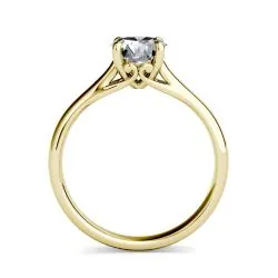 Anillo Solo tú