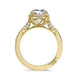 Anillo Eterna Corona