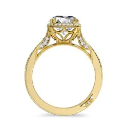 Anillo Eterna Corona